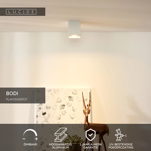 Lucide BODI - Plafondspot - 1xGU10 - Wit - USP
